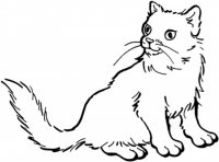 disegni/gatti/gatti_cats_ 07.jpg